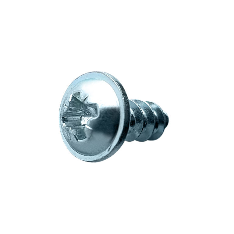 SCHÜTZ Sicherungsschraube (6x14) für Klappenhahn S75x6 (75mm) 739383