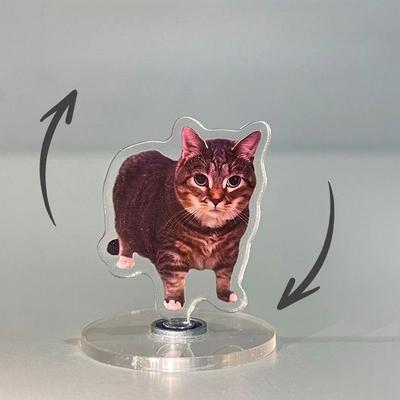 Uplift Picks Rotating Cat Desk Decor Cute Kitten Acrylic Stand Kawaii Cat Ornament 360 Display e 5 Cm