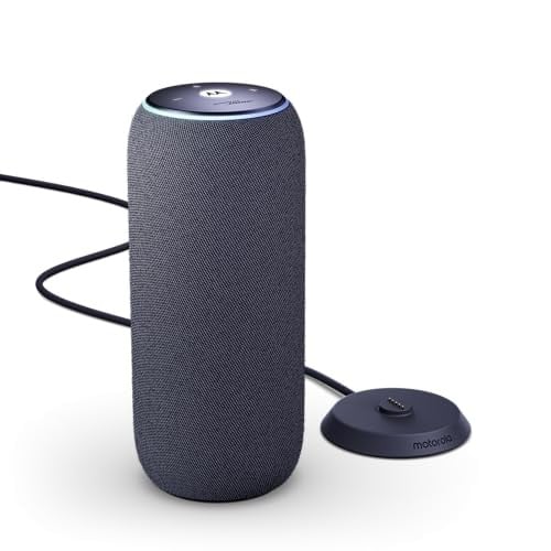 Motorola Moto Sound Flow PANTONE Carbon Draadloze Speaker met USB-C