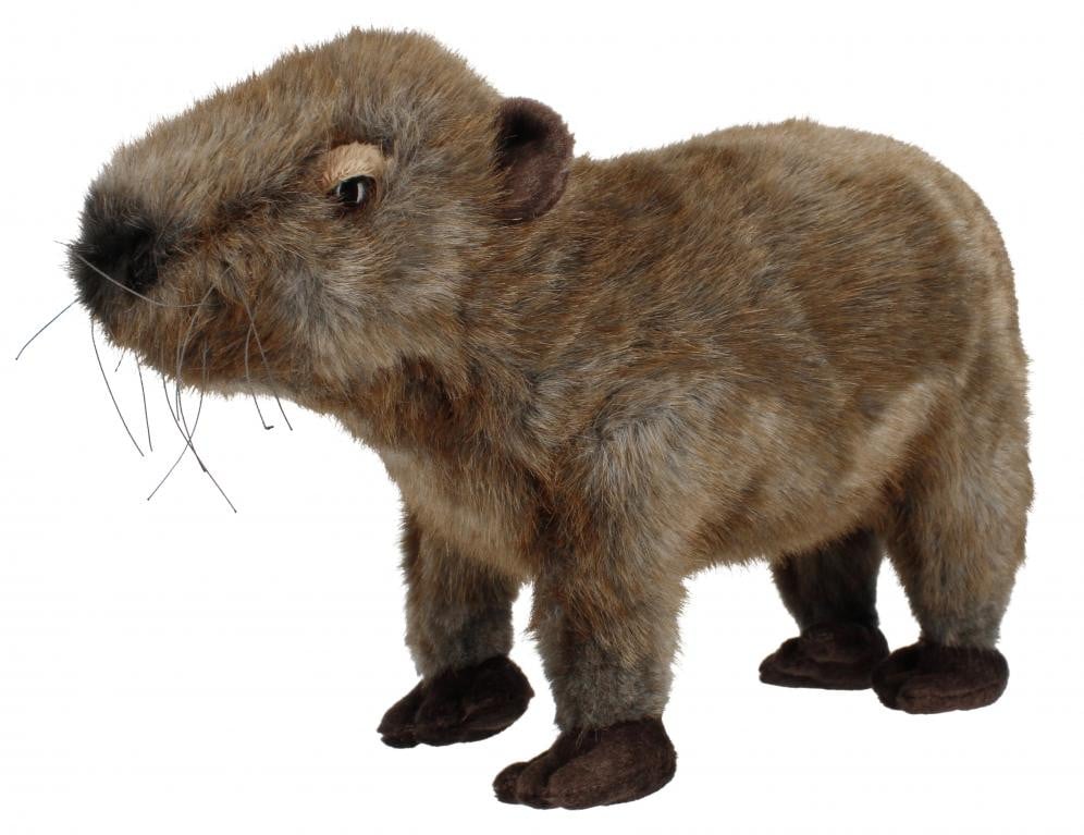 Beppe Kapibara knuffel, 33 cm