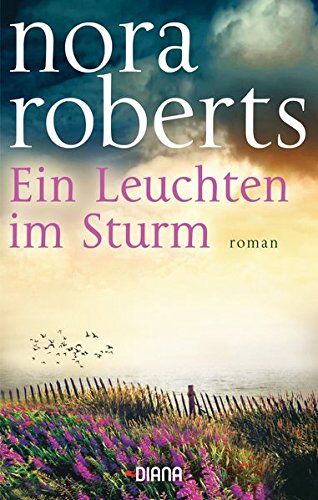 Nora Roberts - Ein Leuchten im Sturm: Roman - Preis vom 17.10.2026 19:25:27 h