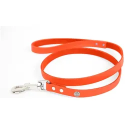 Martin Sellier Klassische Hundeleine aus Leder (Hund, Hundesport, Spazieren), Halsband + Leine