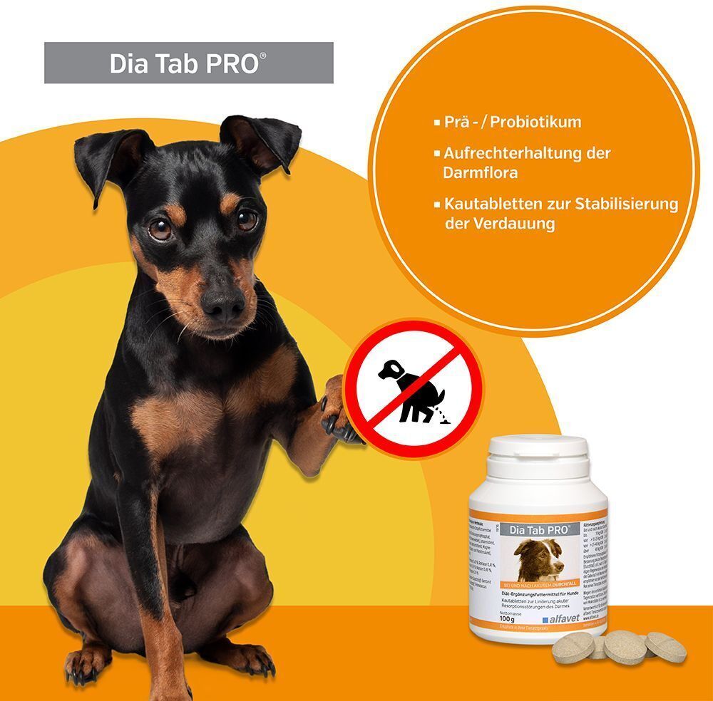 DIA TAB PRO Kautabletten f.Hunde/Katzen 2x 2x100 g