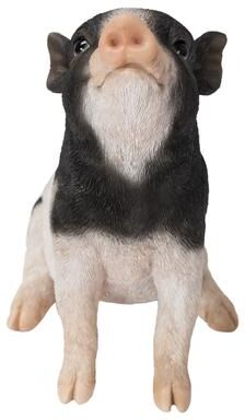 Hi-Line Gift Baby Pig Sitting - Black And White