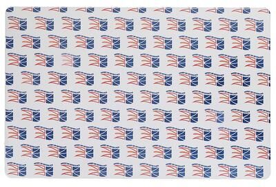 IH Casa Decor Plastic Placemat Newfoundland Waving Flag - Set of 12