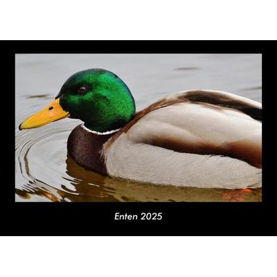 Enten 2025 Fotokalender DIN A3
