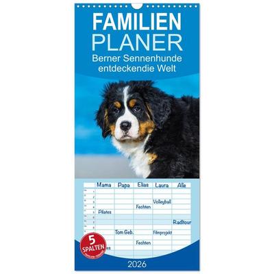 Familienplaner 2026 - Seebärchen entdecken die Welt - Berner Sennenhunde mit 5 Spalten (Wandkalender, 21 x 45 cm) CALVENDO