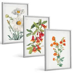 BILDER SET 3er Set - 40x60 cm Silberner Rahmen - Retro-Blumenarrangements
