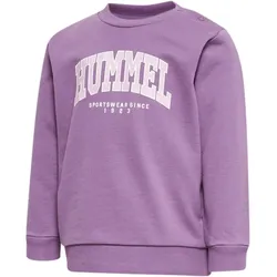 hummel hmlFAST LIME Baby-Sweatshirt argyle purple 80