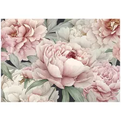 FOTOTAPETE Blumen Pfingstrosen Rosa 300x210 cm