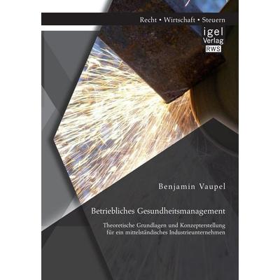 Betriebliches Gesundheitsmanagement: Theoretische Grundlagen und Konzepterstellung für ein mittelständisches Industrieunternehmen, Taschenbuch von