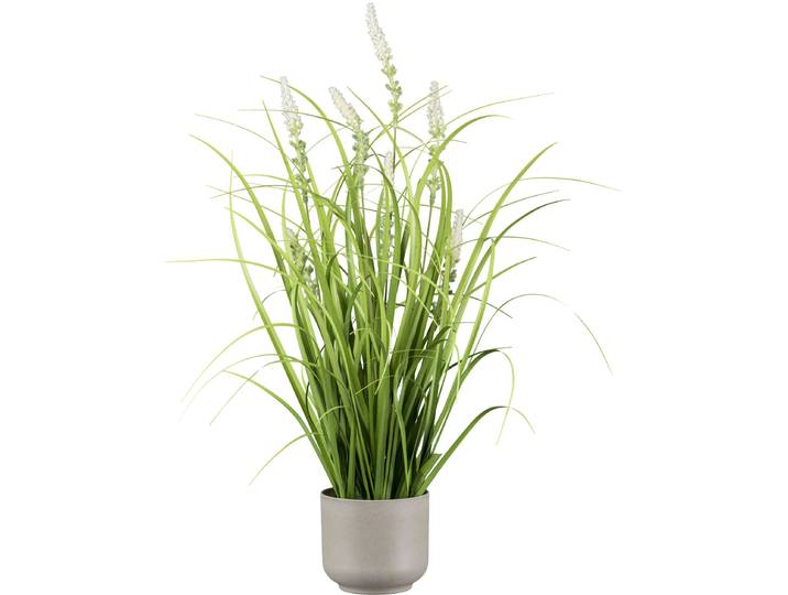 Kunstgras CREATIV GREEN Grasbusch mit Salvienblüten , grün, H:48cm, Kunststoff, Kunstpflanzen, Kunstgras, mit detailgetreuen Blüten und Grashalmen