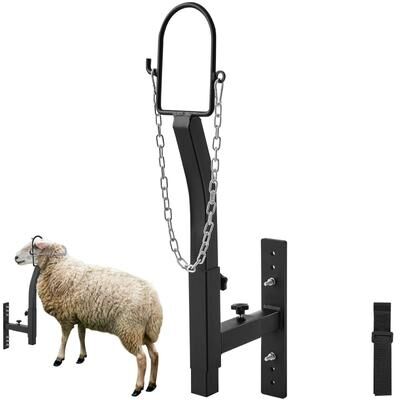 Multicon Wholesale Hub Adjustable Livestock Trimming Stand For Goats With Nose Loop Headpiece Ideal For Milking & Trimming Adjustable Livestock Trimming Stand For Goats With Nose Loop Headpiece Ideal For Milking & Trimming