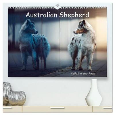 Australian Shepherd - Vielfalt in einer Rasse (hochwertiger Premium Wandkalender 2026 DIN A2 quer), Kunstdruck in Hochglanz