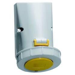 Bals Elektrotechnik 1144 1144 CEE Wandsteckdose 32.0 A 3polig 110 V 1 St.