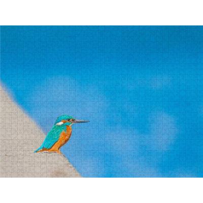 CALVENDO Puzzle Eisvogel | 1000 Teile Lege-Größe 64x48cm Foto-Puzzle für glückliche Stunden