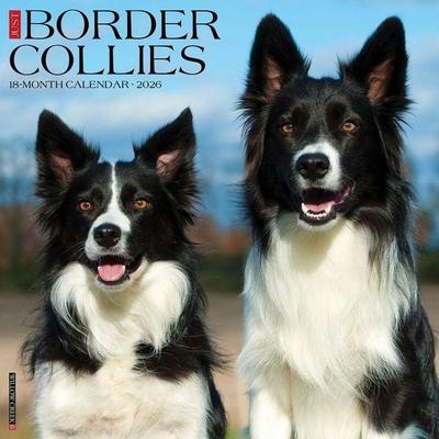 Border Collies 2026 Wall Calendar