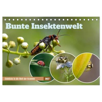 Bunte Insektenwelt (Tischkalender 2027 DIN A5 quer), CALVENDO Monatskalender