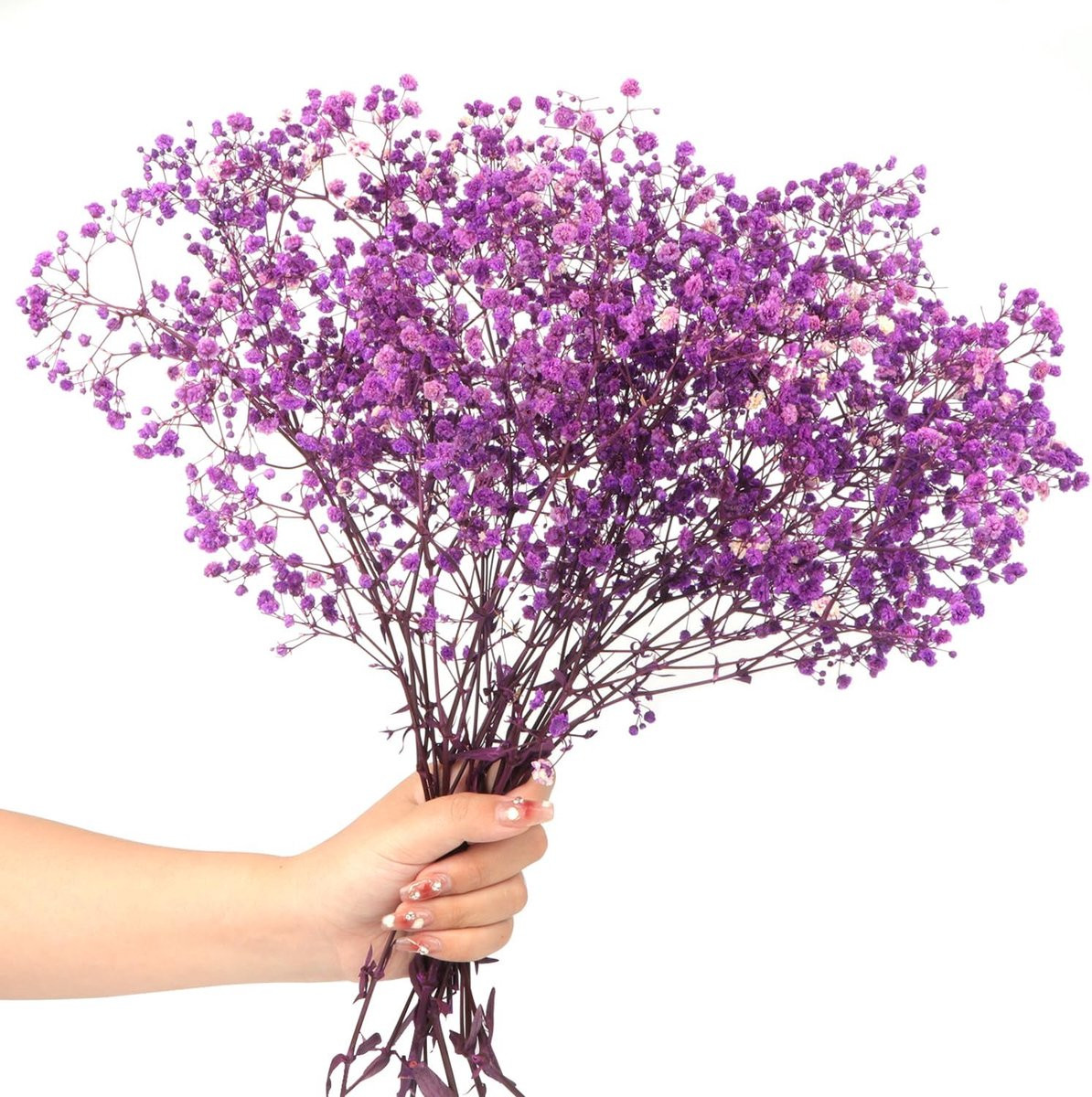 Gedroogd gipskruid bloemenboeket met natuurlijke gypsophila takken voor decoratie, paars