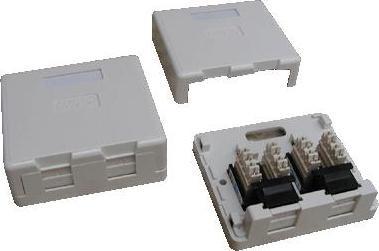 Datacom Dubbele CAT5E UTP wandcontactdoos stofdicht