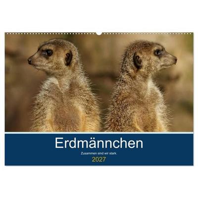 Erdmännchen - Zusammen sind wir stark (Wandkalender 2027 DIN A2 quer), CALVENDO Monatskalender