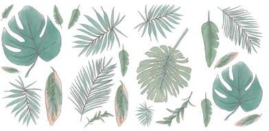 Mr. Kate Hand-Drawn Palm Peel And Stick Wall Decals