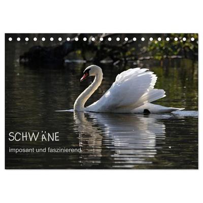 Schwäne - imposant und faszinierend (Tischkalender 2027 DIN A5 quer), CALVENDO Monatskalender