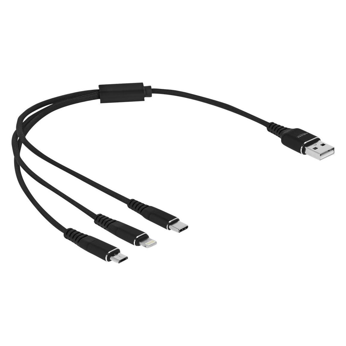 Delock USB A - USB Typ C, Lightning, USB Micro B (0.30 m, USB 2.0) (87152)