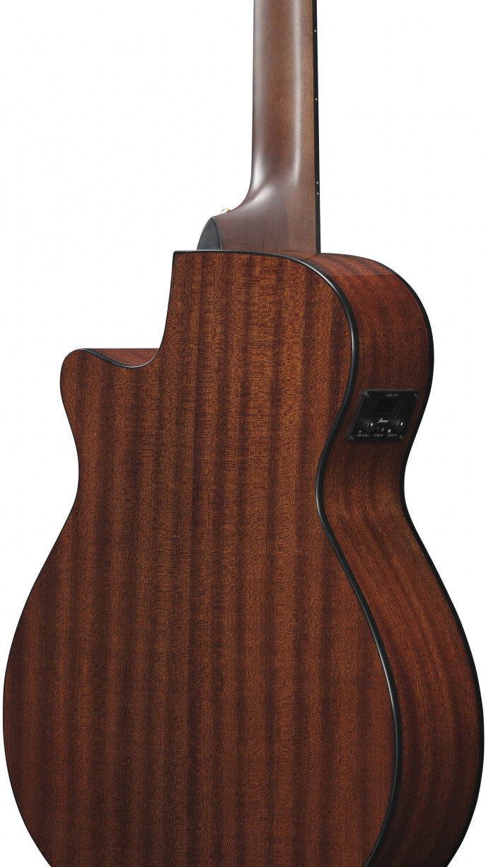 Ibanez AEG50N-BKH Nylon