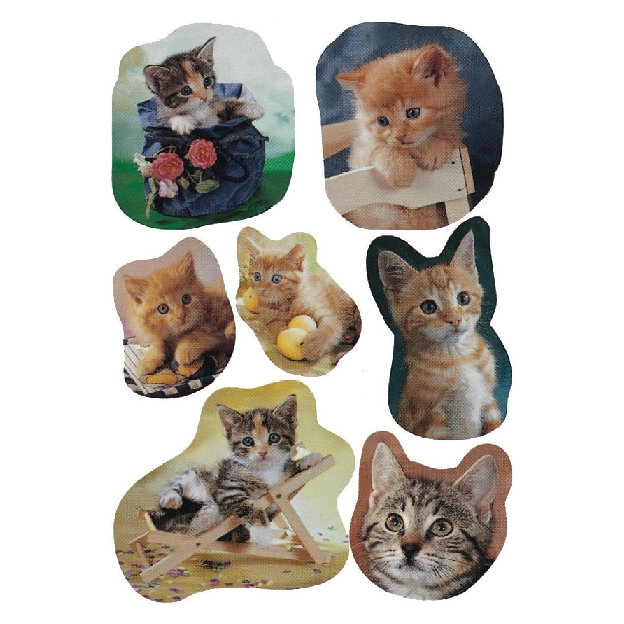 Herma Sticker Katzen (21 Sticker) (5747)