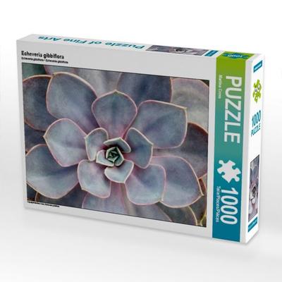 CALVENDO Puzzle Echeveria gibbiflora | 1000 Teile Lege-Größe 64x48cm Foto-Puzzle für glückliche Stunden