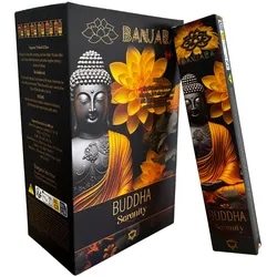 Banjara Buddha - Serenity