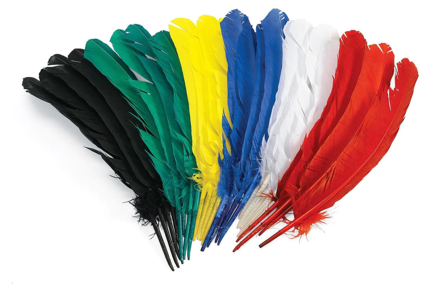 Colorations Set van 24 gekleurde knutselveertjes, 30 cm