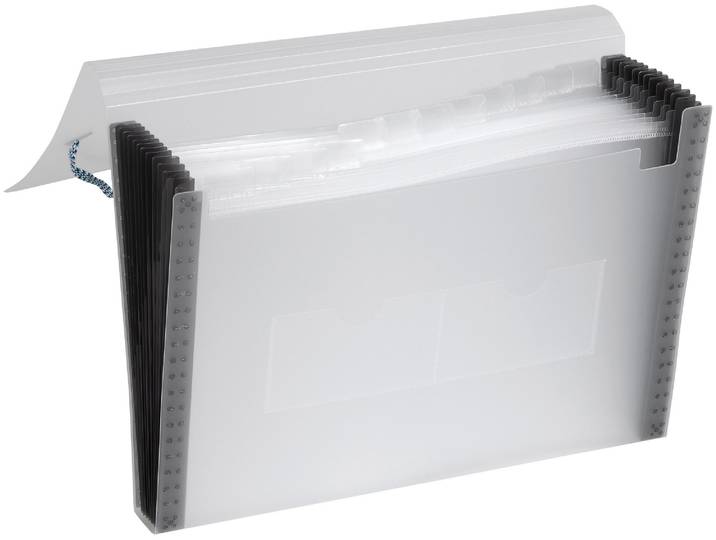 Dufco Fächermappe A4 PP Frost transparent 13-teilig