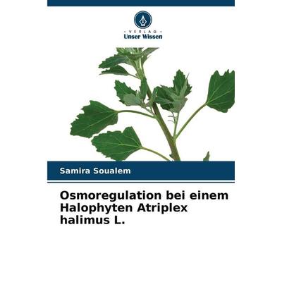 Osmoregulation bei einem Halophyten Atriplex halimus L., Taschenbuch von Samira Soualem, Verlag Unser Wissen, 978-620-7-52553-9