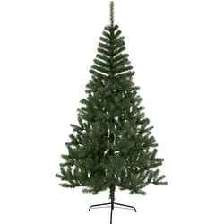 Star Trading, Weihnachtsbaum, Kanada (210 cm)
