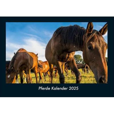 Pferde Kalender 2025 Fotokalender DIN A4