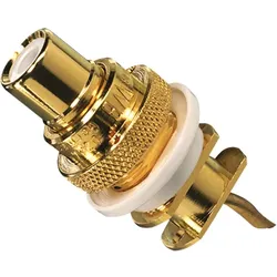 Jung HighEnd Cinch-Buchsen go CIB 63
