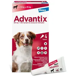 ADVANTIX SPOT-ON HUND 10-25KG 4 St Lösung