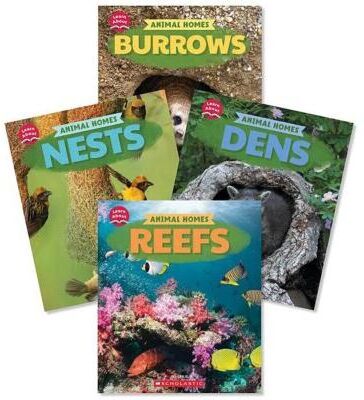 Learn About: Animal Homes Value Pack