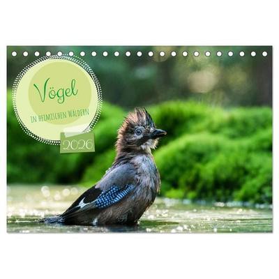 Vögel in heimischen Wäldern (Tischkalender 2026 DIN A5 quer), CALVENDO Monatskalender
