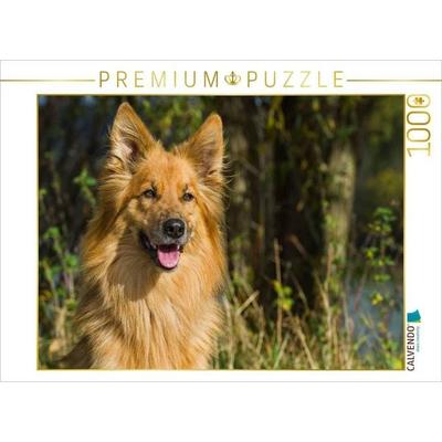 CALVENDO Puzzle Harzer Fuchs Porträt | 1000 Teile Lege-Größe 64x48cm Foto-Puzzle für glückliche Stunden