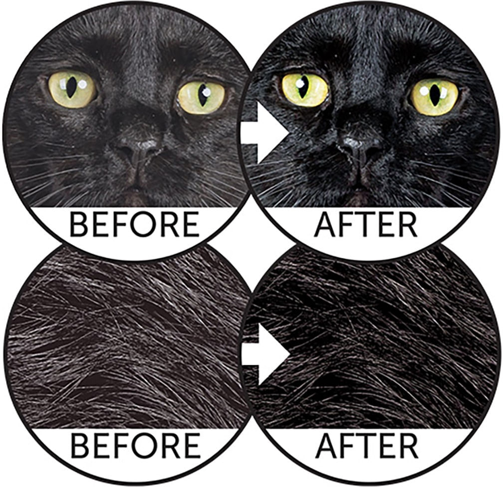 NATURES PROTECTION Nature's Protection Dark Cats con Aringa 1.5KG