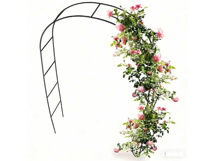 Arche métallique d'extérieur, structure d'escalade, treillis pour vigne de jardin, support d'escalade pour plantes, support décoratif pour fleurs pour célébration de mariage