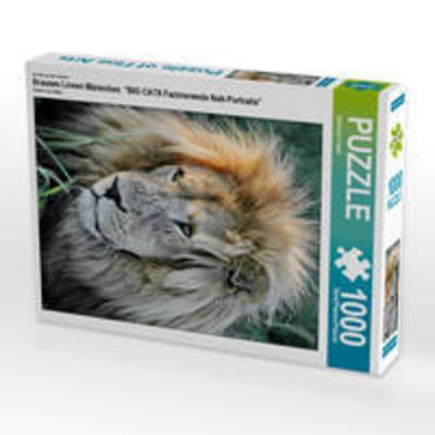 CALVENDO Puzzle Braunes Löwen Männchen. Ein Motiv aus dem Kalender 'BIG CATS Fazinierende Nah-Portraits' 1000 Teile Lege-Größe 48 x 64 cm Foto-Puzzle