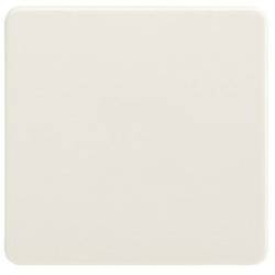 ELSO 213600 ELSO Wippe 213600 Universal-Kreuzschalter/Taster pw Wippe Fashion Mehrfarbig 1 St.