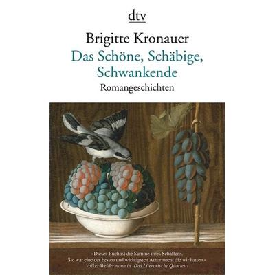 Das Schöne, Schäbige, Schwankende, Taschenbuch von Brigitte Kronauer, dtv, 978-3-423-14794-1