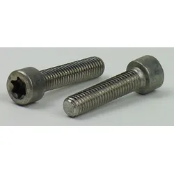ISO 14579 Edelstahl A2 M 4x16 - Zylinderschrauben mit Innensechsrund TX20