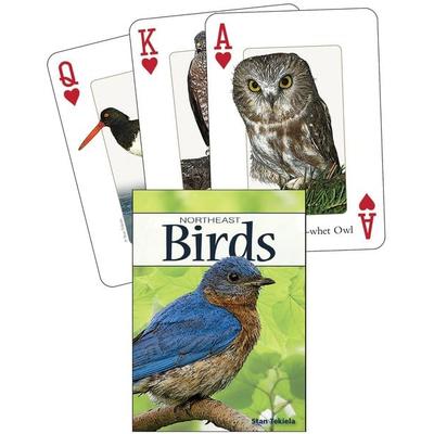 Birds of the Northeast Playing Cards