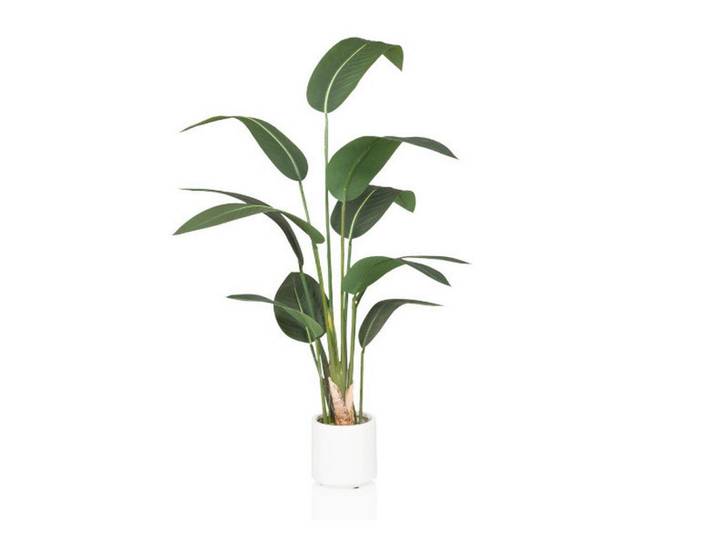 KUNSTPFLANZE Strelitzia Grün B: 22cm